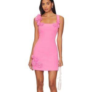 ELLIATT Trompe Dress in Pink!